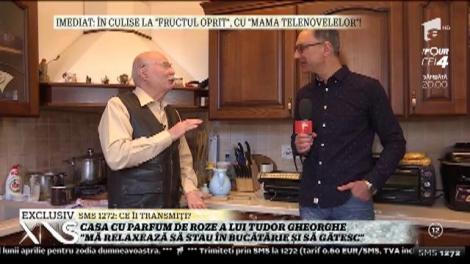 Tudor Gheorghe dezvăluie detalii neștiute despre el! „Câte nopți am stat cu Fănuș Neagu și Nichita Stănescu, erau băutori de cursă lungă”