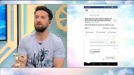 Știe cineva cât înseamnă un kilometru de taur? Mesajul zilei de pe Facebook: ”Am 3 tauri de vânzare. Pe ăla mai mare îl dau cu 8 lei/ km”