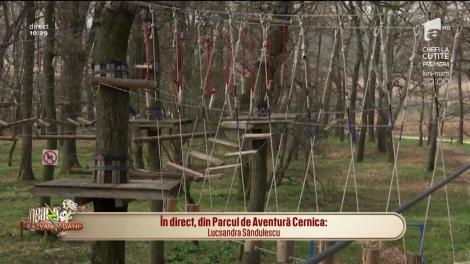 Invitație la distracție. Românii sunt așteptați în pădurea Cernica la o porție de aventură prin copacii