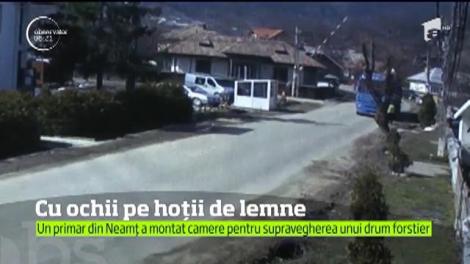 Big Brother opreşte hoţii de lemne