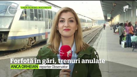 Forfotă în gări, trenuri anulate