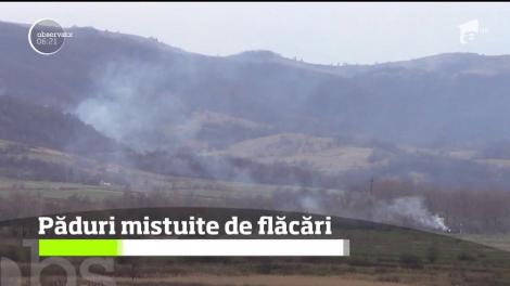 Foc în pădurile din Caraş Severin, pompierii abia fac faţă flăcărilor