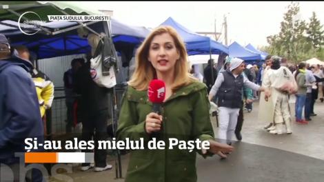 Bucureştenii merg să-şi aleagă mielul pentru Paşte