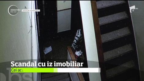 O femeie din Timişoara a fost atacată în scară. Îşi acuză vecinii, iar incidentul a fost filmat de camerele de supraveghere