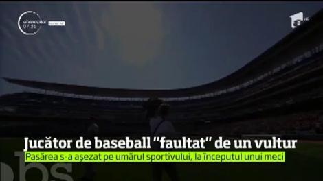 Un jucător de baseball, "faultat" de un vultur pleşuv