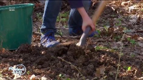 Mămica frumoasă de la "Prietenii de la 11" s-a pus pe plantat copaci. Ruxandra Luca a renunţat la tocuri şi ţinute elegante pentru natură: "Mi-am luat salopetă şi încălţăminte regulamentară"