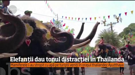 Cum marchează elefanţii intrarea în Noul An Thailandez