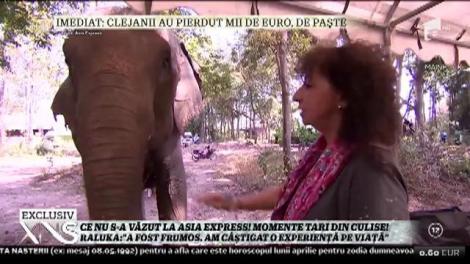 Ce nu s-a văzut la Asia Express! Momente tari din culise! Raluka: "A fost frumos, am câștigat o experiență de viață"