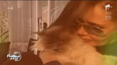 Sunt mereu în lumina reflectoarelor, dar acasă se topesc de dragul lor! Vedetele şi animalele de companie: Delia are un bichon, Antonia şi Alex Velea sunt tare mândri de bulldog-ul lor