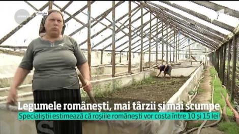 Gerul din martie scumpeşte legumele româneşti