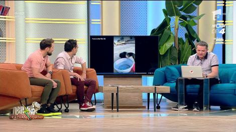 Râzi cu lacrimi. Cătălin Oprișan, varianta pasăre