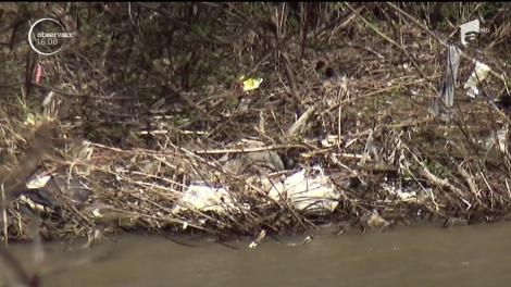 Pui umărul la curățenia orașului? Primarul te răsplătește cu bani: 50 de lei petru fiecare poză, în care surprinzi un cetățean aruncând gunoaie pe jos