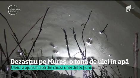 Dezastru ecologic pe râul Mureş. O tonă de ulei, scursă din transformatoarele termocentralei de la Iernut, a ajuns în apă