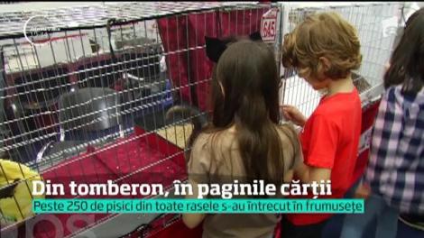 Motanul Ghenă și-a pus gândurile pe hârtie și a lansat prima carte pentru copii!