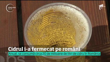 Tot mai mulţi români au înlocuit berea cu cidru. 20 de milioane de litri s-au vândut anul trecut