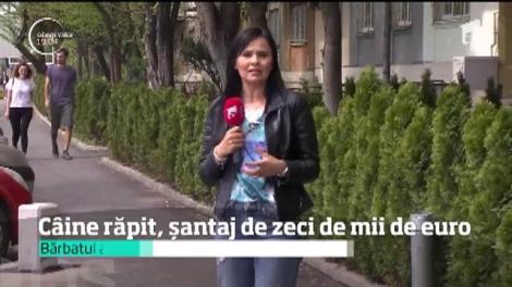 Câine răpit, șantaj de zeci de mii de euro