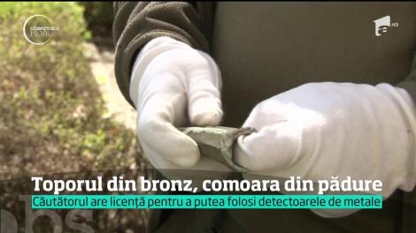 Toporul din bronz, comoara din pădure