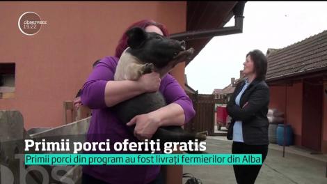 A &icirc;nceput programul "Primul porc"