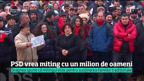 Premierul Viorica Dăncilă a trecut prin lupa liderilor PSD, după 100 de zile de guvernare