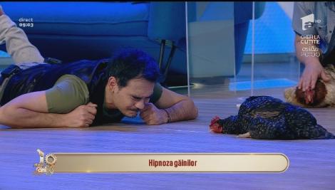 Răzvan are puteri paranormale, a hipnotizat o găină!: ”Liniște, că am o comunicare...”