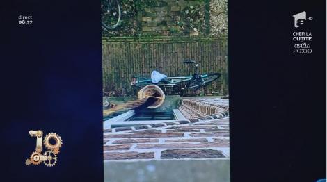 Smiley News. Acesta este liftul pentru pisici. Nu se blochează niciodată