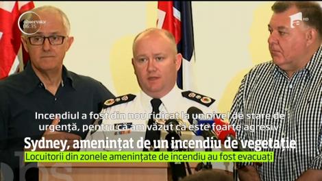 Este alertă maximă! Un incendiu uriaș se apropie de oraș! Familii din Sydney sunt în pericol
