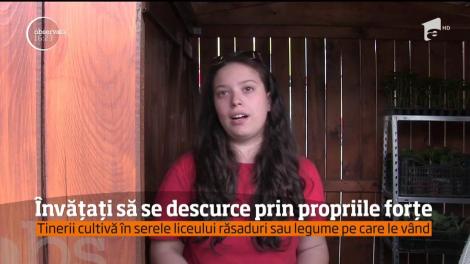 Învățați să se descurce prin propriile forțe