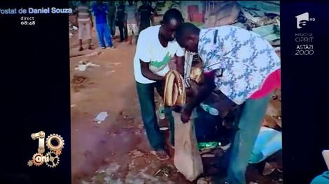 Smiley News! Cum să hipnotizezi un șarpe