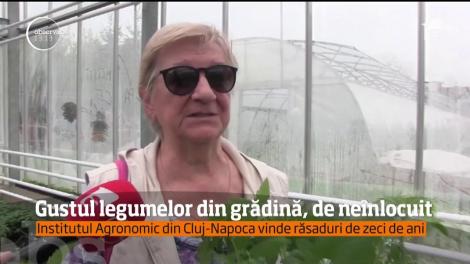 Gustul legumelor din grădină, de neînlocuit