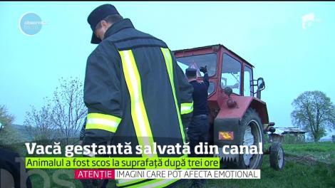 Operaţiune de salvare mai puţin obişnuită pentru pompierii mureşeni