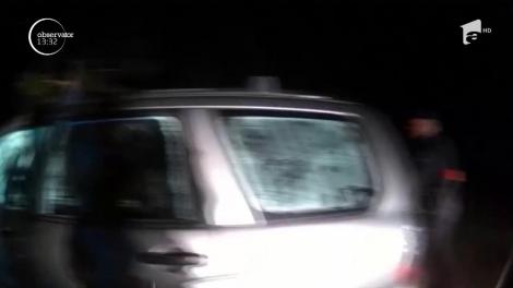 Urs captiv într-o mașină, în statul american Colorado