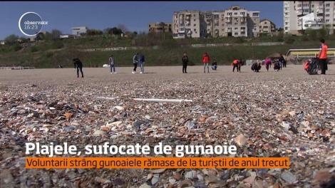 Vine 1 MAI, dar marea e departe de o destinație de vis! Plajele de pe litoralul românesc, sufocate de gunoaie. VIDEO REVOLTĂTOR!