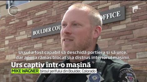Poliţiştii din statul american Colorado au avut de-a face cu un "suspect" cu totul neobişnuit