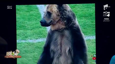 Smiley News! Ursul, atracția principală la un meci de fotbal din Rusia