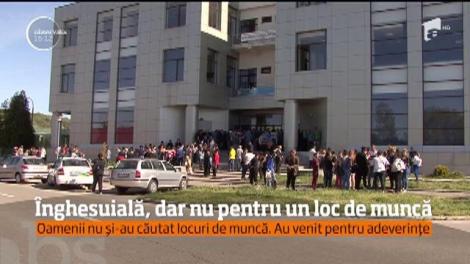 A fost nebunie &icirc;n mai multe judeţe, la bursa locurilor de muncă. Sute de oameni s-au &icirc;nghesuit la birourile angajatorilor, dar nu pentru un job