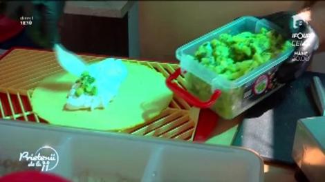 Marian Duță, reporterul de la "Prietenii de la 11": "Florin, vreau să o invit pe Diana la picnic, la Wine and Street Food Festival"