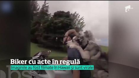 Un c&acirc;ine, biker cu acte &icirc;n regulă