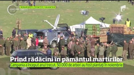 Parcul Memoriei Naționale prinde viaţă! Cei 50.000 de stejari plantaţi anul trecut &icirc;n luna noiembrie, &icirc;n cadrul proiectului derulat de Antena 3, au &icirc;nceput să &icirc;nverzească