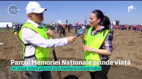 Parcul Memoriei Naţionale prinde viaţă! 10.000 de voluntari - copii, tineri, militari &icirc;n rezervă sau artişti au plantat astăzi 115.000 de puieţi de stejar