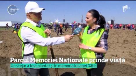 Parcul Memoriei Naţionale prinde viaţă! 10.000 de voluntari - copii, tineri, militari în rezervă sau artişti au plantat astăzi 115.000 de puieţi de stejar