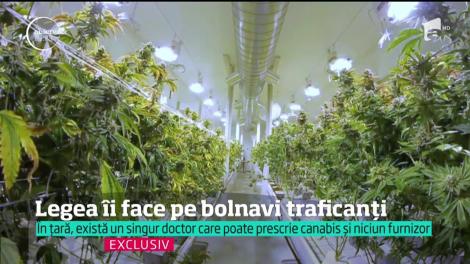 Legea din Rom&acirc;nia &icirc;i poate transforma pe bolnavii de cancer &icirc;n traficanţi de droguri
