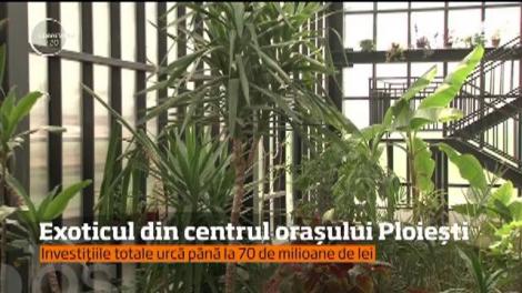 Investițiile totale din parcul orașului Ploiești se ridică la 70 de milioane de lei