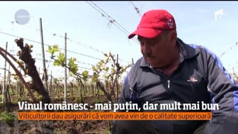 Vinul românesc, mai puțin, dar mult mai bun