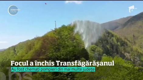 Ard pădurile de lângă Cetatea lui Vlad Ţepeş, din Argeş