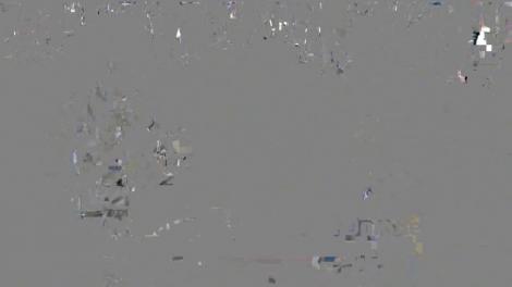 Paradă medievală la Curtea Domnească