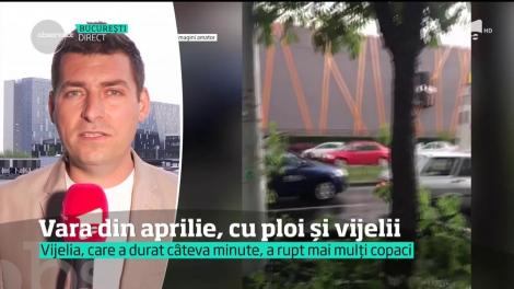 Vremea a făcut ravagii în București! O furtună puternică a blocat Capitala și a pus la pământ mai mulți copaci