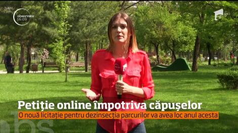 Căpușele au făcut primele victime! Timișorenii, revoltați, după ce primăria nu are nicio posibilitate de a face dezinsecţia