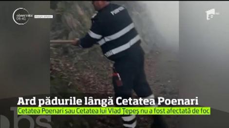 Ard pădurile de lângă Cetatea lui Vlad Ţepeş, din Argeş, de aproape două zile