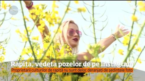 Rapița, vedeta pozelor de pe Instagram