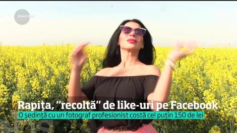 Şedinţele foto s-au mutat din studio în lanul de rapiţă. Machiate, aranjate, accesorizate, tinerele îşi scot în evidenţă toate atuurile în câteva fotografii